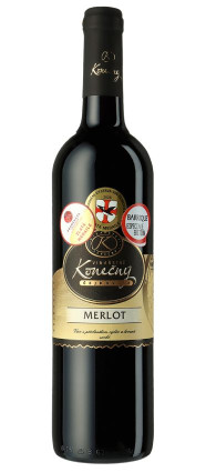 Merlot 2023 Merlot 2023